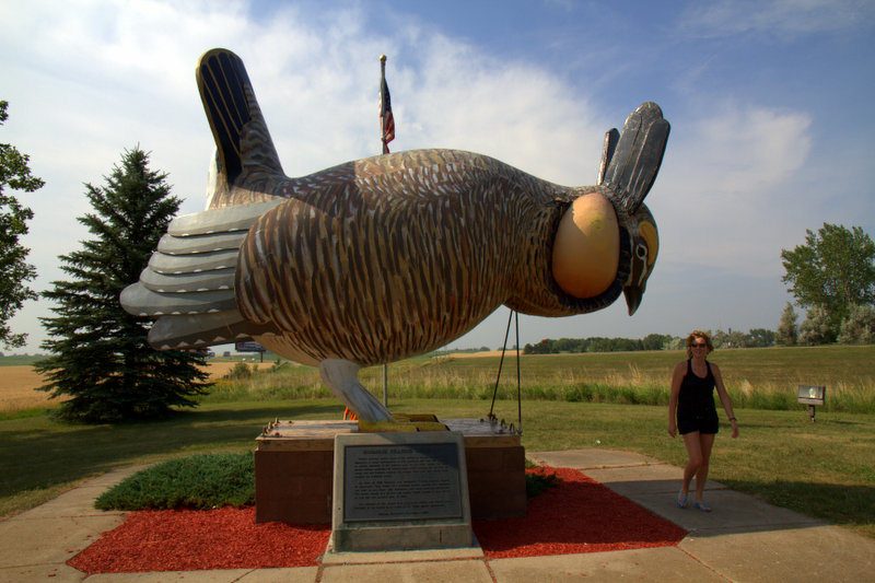 La plus grosse poule des prairies