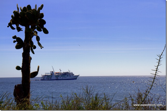 Notre navire, l'Isabella II, nous attend au large des Galapagos, Equateur.