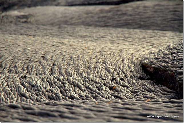 Lave durcie,  Galapagos, Equateur.